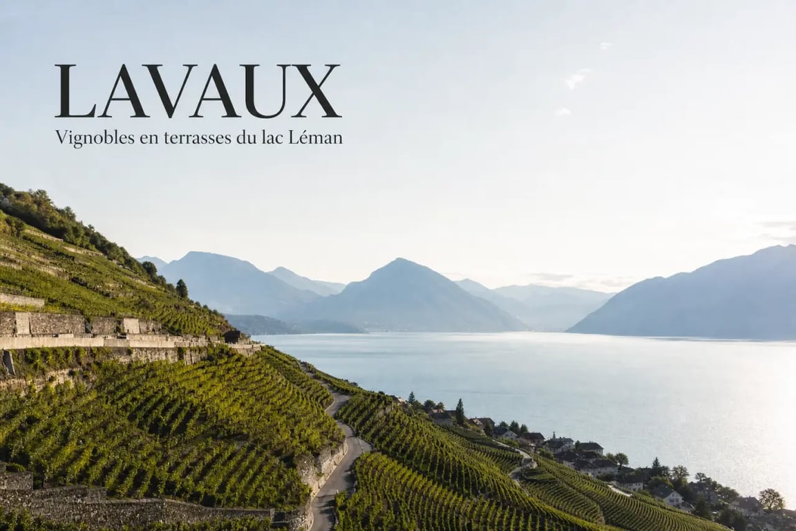 Blog voyage suisse : vignobles de Lavaux au bord du lac Léman
